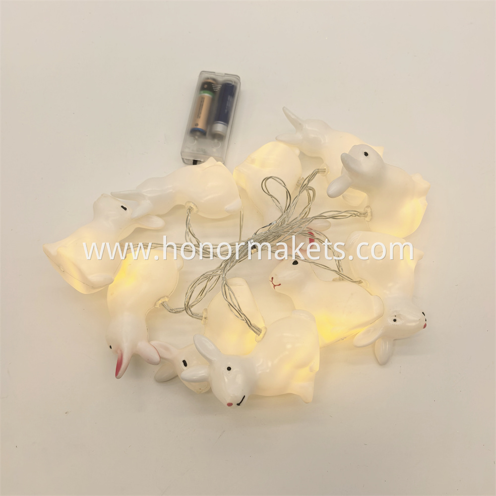EA203 (3)